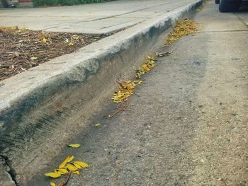 High angle view of yellow arrow symbol on road