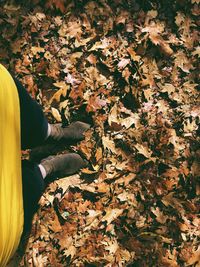 Low section of person with autumn leaves