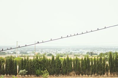 View of barbed wire