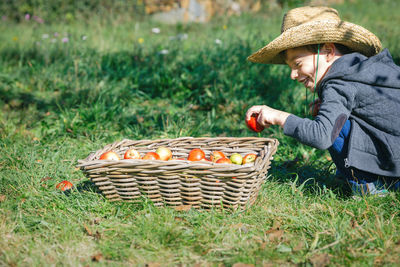 Side view of smiling boy picking apple in basket on grassy field