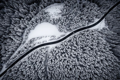 Aerial view of snow covered land