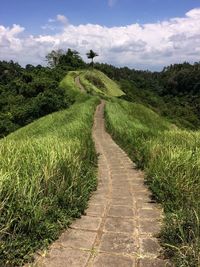 Footpath leading to field