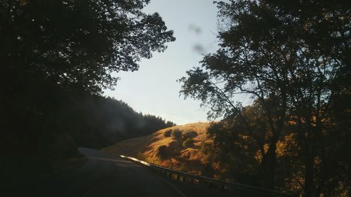 Road amidst trees in forest against sky