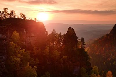 Autumn sunset view over colorful rocks to fall valley of bohemian switzerland. vivid  effect.