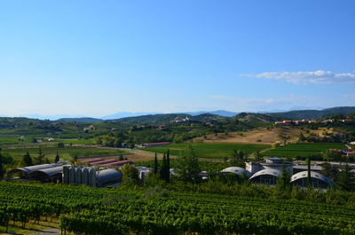 Scenic view of field against clear sky