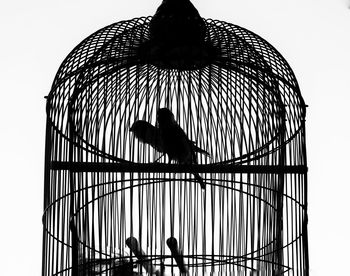 Low angle view of silhouette bird in cage against sky