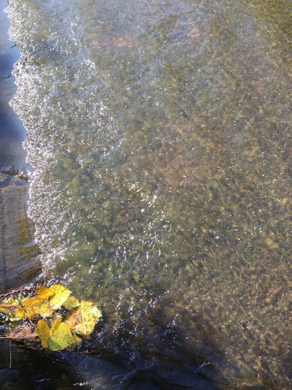 water, high angle view, reflection, wet, puddle, nature, tranquility, outdoors, beauty in nature, day, leaf, lake, sunlight, waterfront, no people, river, rippled, rain, season, rock - object