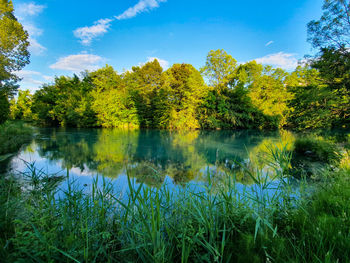 Scenic view of lake in forest against sky