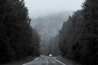 Car on road amidst trees against sky
