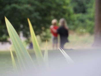 Close-up of girl against blurred background