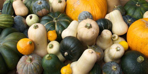 Close-up of pumpkins in market