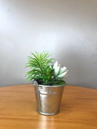 Potted plant on table against wall