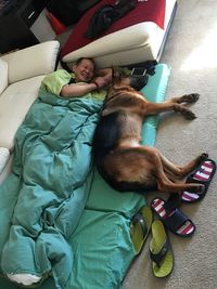 High angle view of man sleeping with dog on bed at home