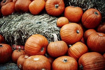 High angle view of pumpkins for sale at market