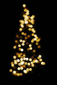 Close-up of illuminated christmas tree at night