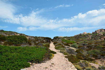 Razzoli island in sardinia.