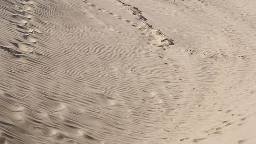 Full frame shot of sand