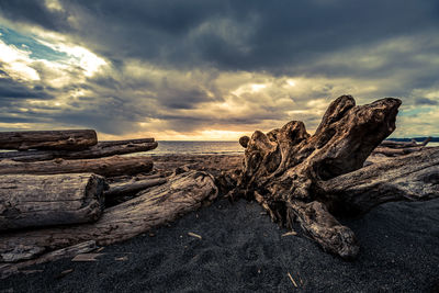 Driftwood on beach against sky during sunset