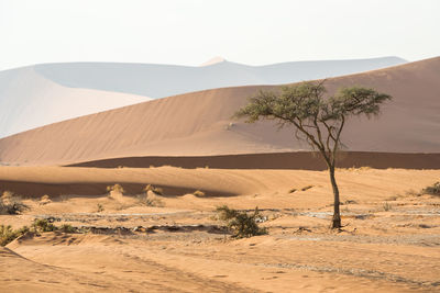 Scenic view of desert against sky