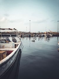 Sailboats moored in harbor against sky