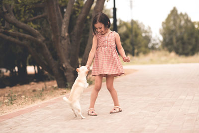 Cute child girl 4-5 year old playing with pet dog in park outdoors. wearing trendy summer dress. 