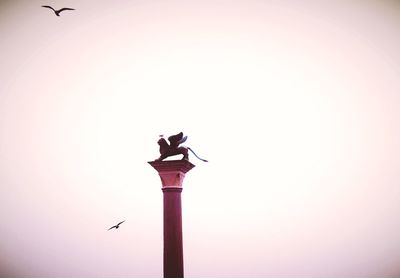 Low angle view of birds against clear sky