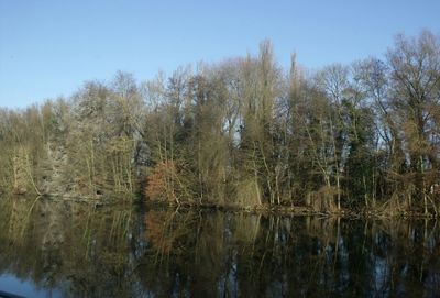 Reflection of trees in lake against clear sky