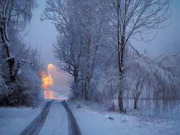 Snow covered road amidst trees during winter