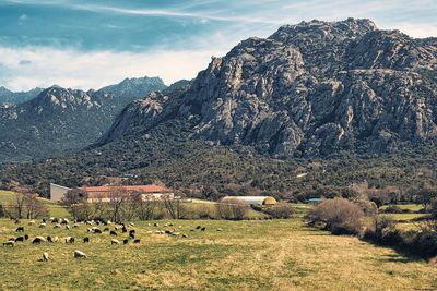 Scenic view of landscape against sky