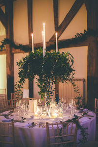 Potted plants on table in restaurant