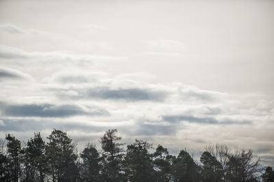 Silhouette of trees against cloudy sky