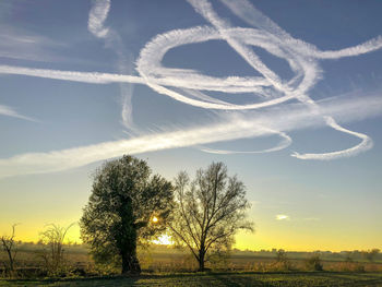 Bare tree on field against sky during sunset