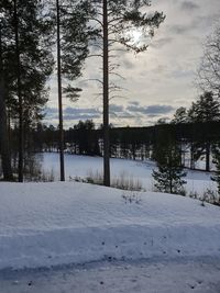 Trees on snow covered field against sky