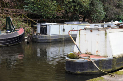 Boats moored in water by trees