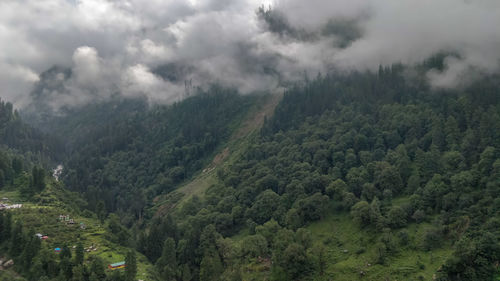 Scenic view of forest against sky