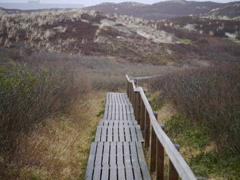 High angle view of wooden posts on field