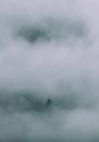 Low angle view of airplane against sky