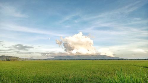 Scenic view of land against sky