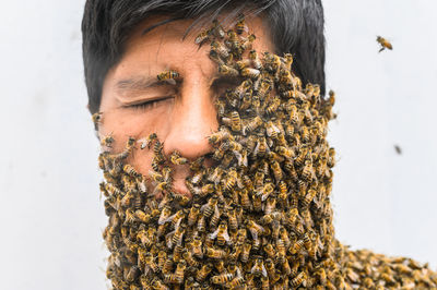 Close-up of young woman