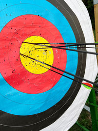 Zoom on multiple arrows in the center of the target