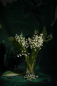 Close-up of flowering plant