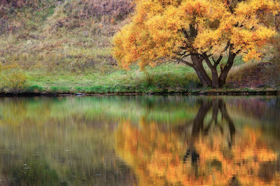 Scenic view of lake in forest during autumn