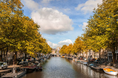 Panoramic view of canal amidst trees against sky