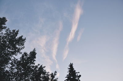 Low angle view of trees against cloudy sky