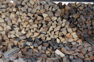 Full frame shot of logs in forest