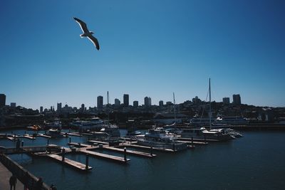 Boats moored at harbor