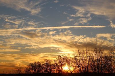 Silhouette trees against dramatic sky during sunset