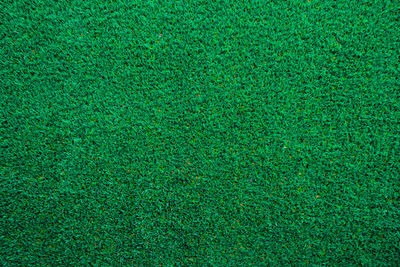 Full frame shot of green field