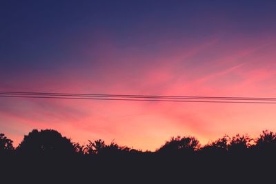 Silhouette of trees at sunset