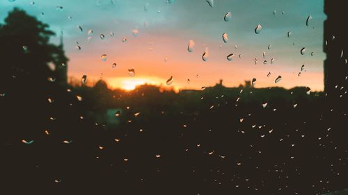 Close-up of silhouette birds against sky during sunset